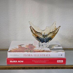 Flora Illustrata: Great Works from the LuEsther T. Mertz Hardcover